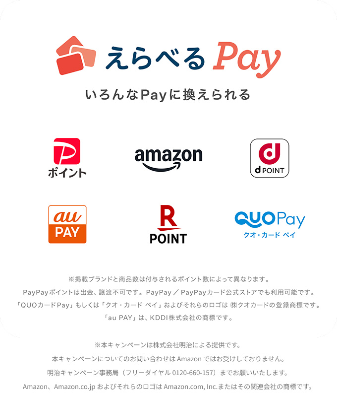 えらべるPay3,000ポイント